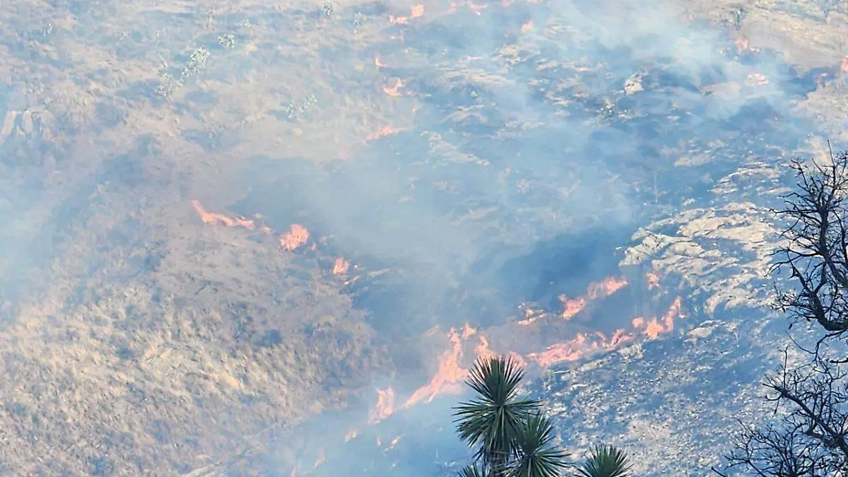 WhatsApp Image 2023-06-04 at 11.42.39 PM