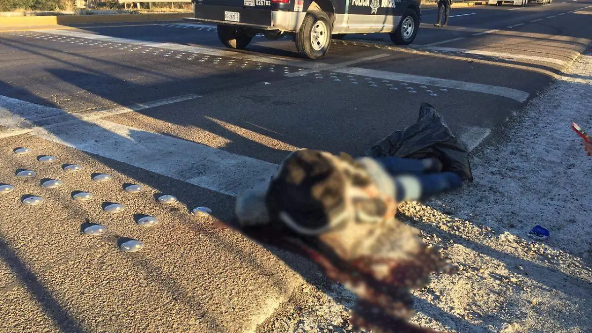 WhatsApp Image 2019-01-08 at 09.29.42