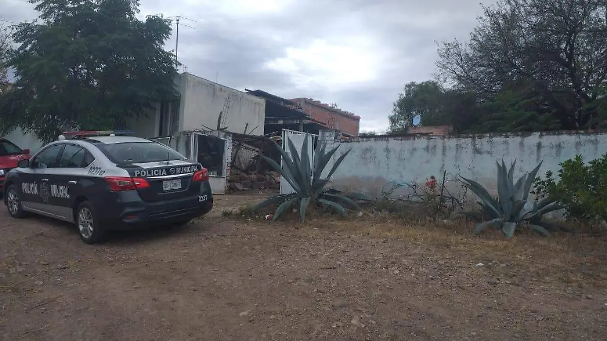 WhatsApp Image 2020-01-01 at 12.42.15