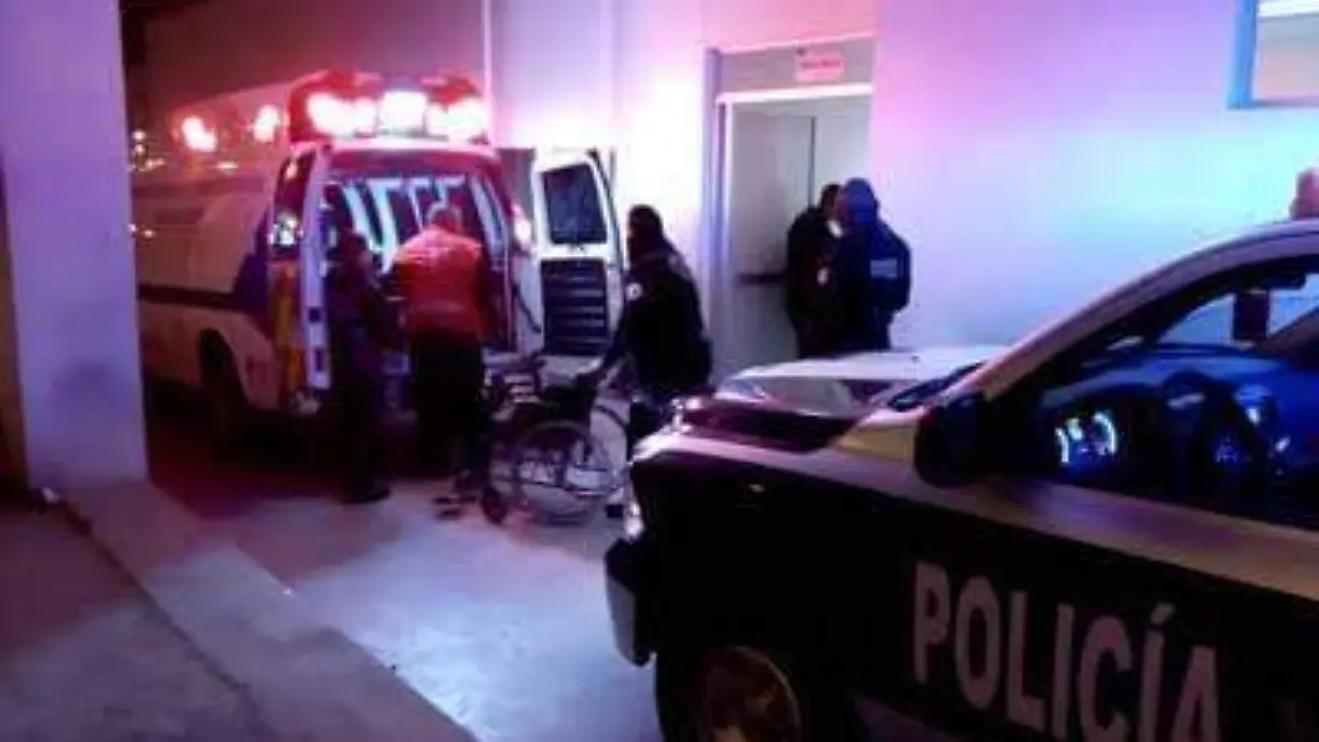 WhatsApp Image 2019-08-24 at 1.15.19 PM