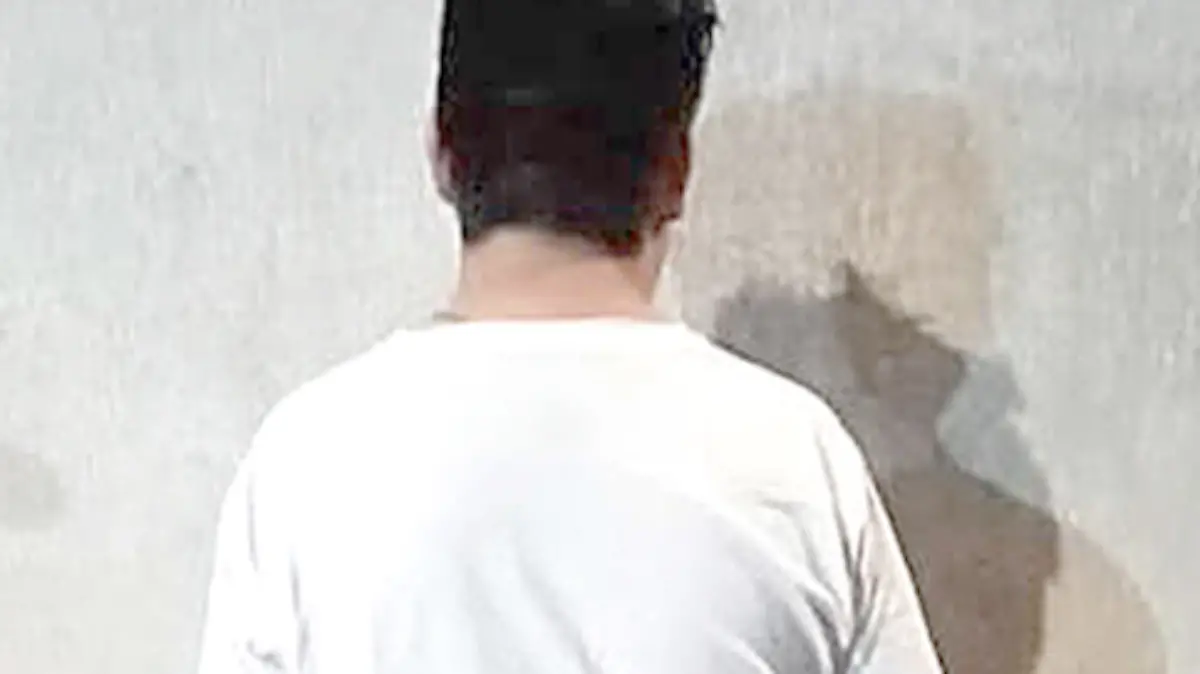 Captura de pantalla 2019-12-13 a la(s) 02.05.40