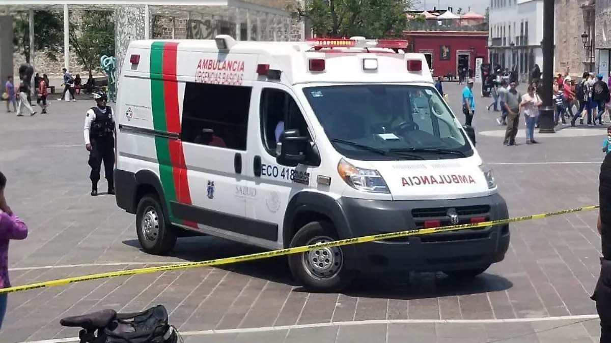 WhatsApp Image 2019-05-25 at 14.27.20 (1)