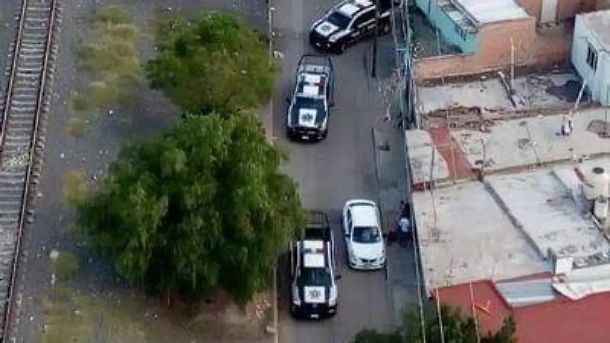 WhatsApp Image 2019-12-10 at 04.46.31