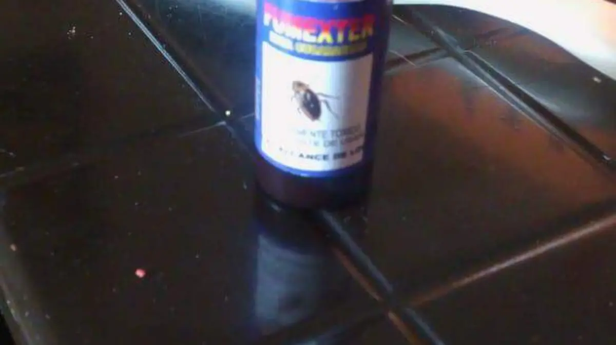 WhatsApp Image 2019-05-14 at 12.22.44