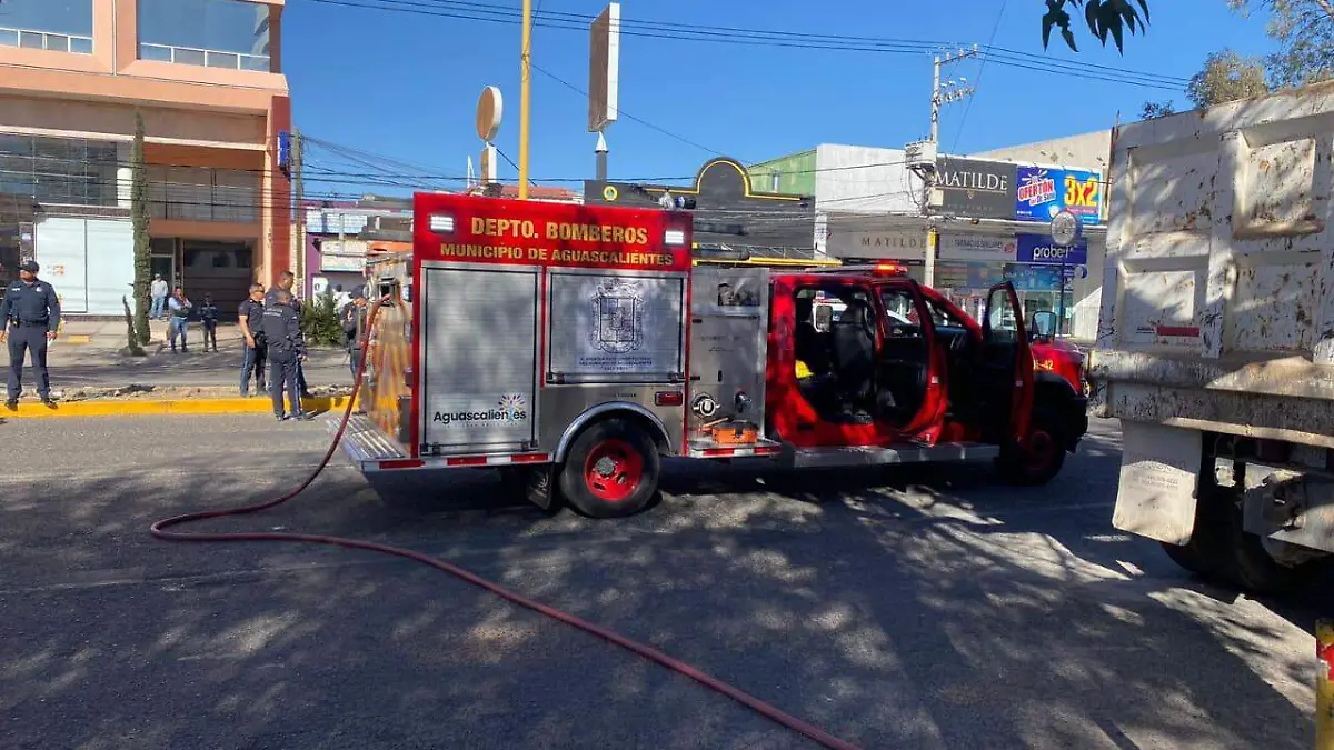 WhatsApp Image 2023-03-03 at 11.43.44