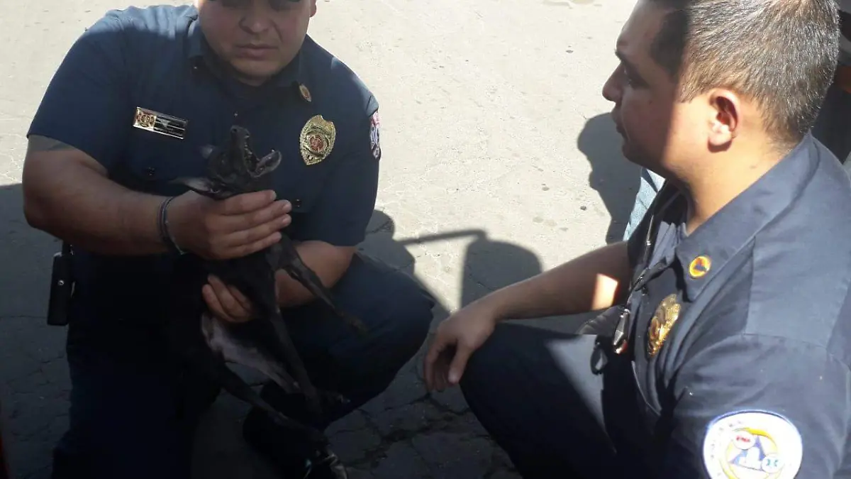 WhatsApp Image 2019-12-02 at 6.15.41 PM