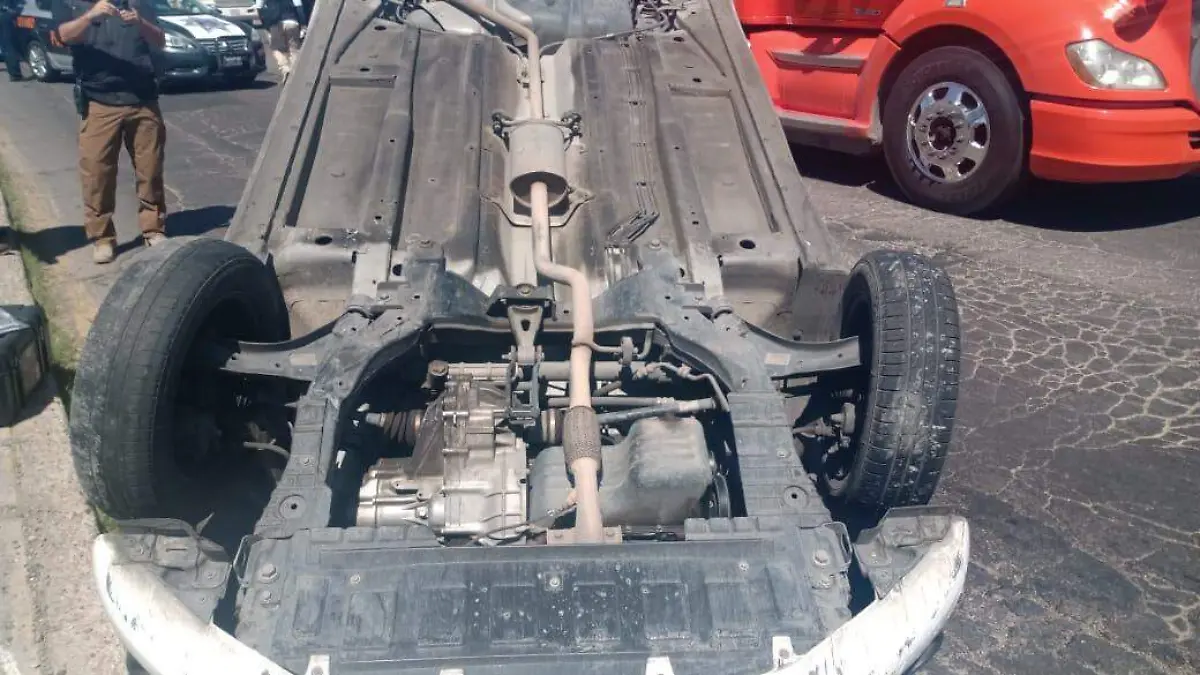 WhatsApp Image 2020-02-26 at 14.29.42