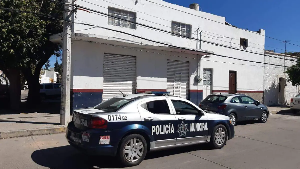 WhatsApp Image 2019-12-01 at 13.23.44