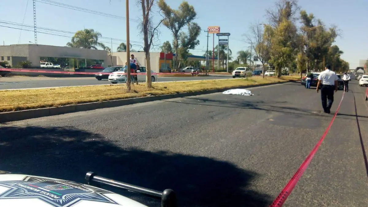 WhatsApp Image 2019-05-19 at 13.20.44 (1)