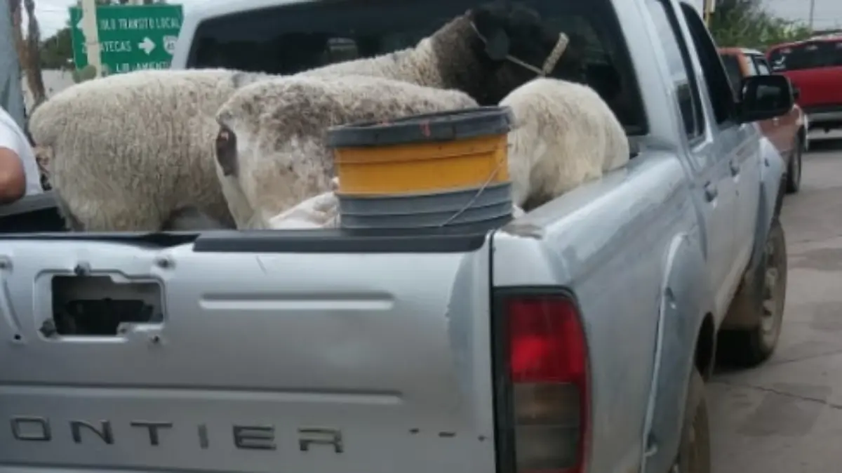 Captura de pantalla 2018-07-11 a la(s) 23.18.40