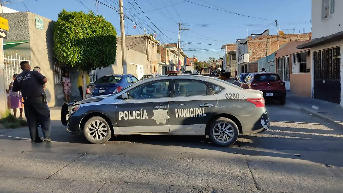 WhatsApp Image 2023-03-17 at 6.54.57 PM