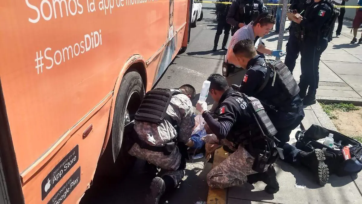 WhatsApp Image 2019-10-25 at 8.37.09 PM (1)