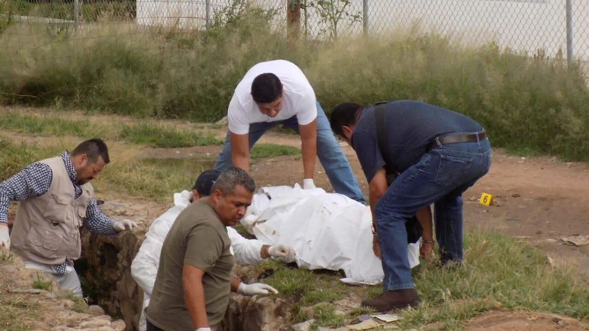 WhatsApp Image 2018-09-17 at 19.34.55