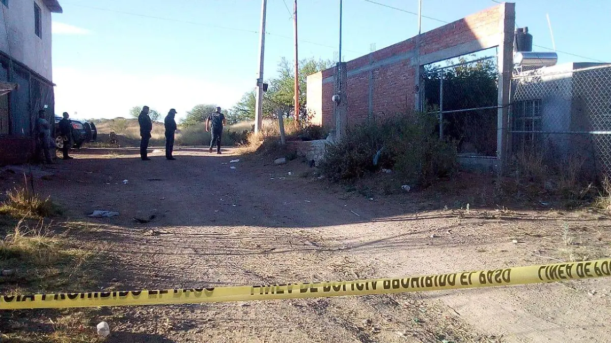 WhatsApp Image 2019-02-28 at 09.52.37