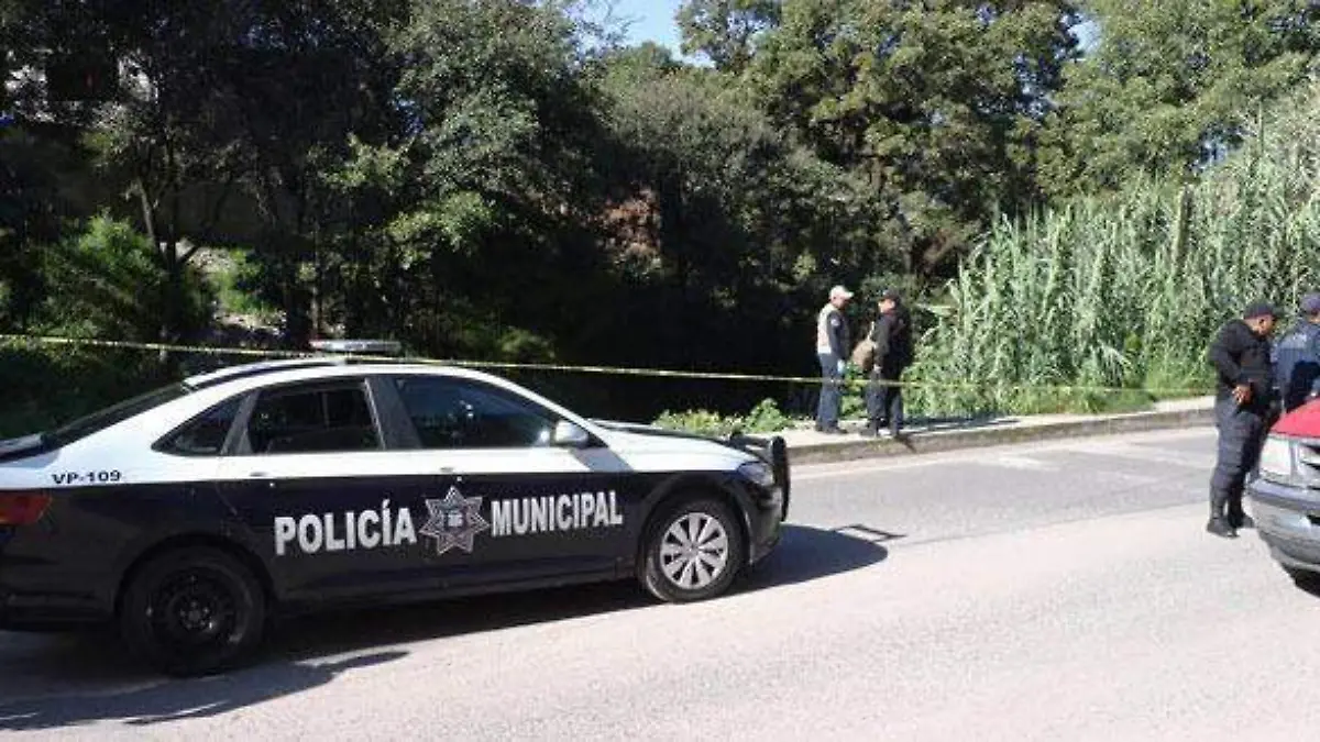 WhatsApp Image 2019-10-19 at 23.17.30