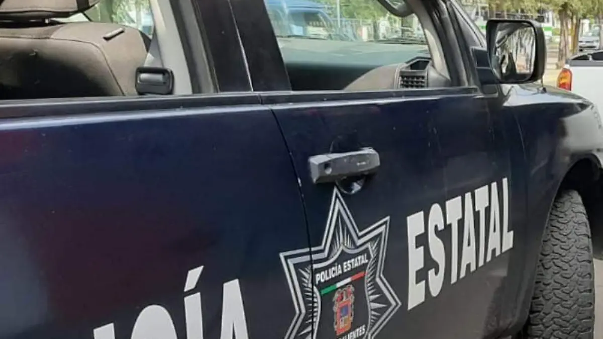 Patrulla Policía Estatal (2)