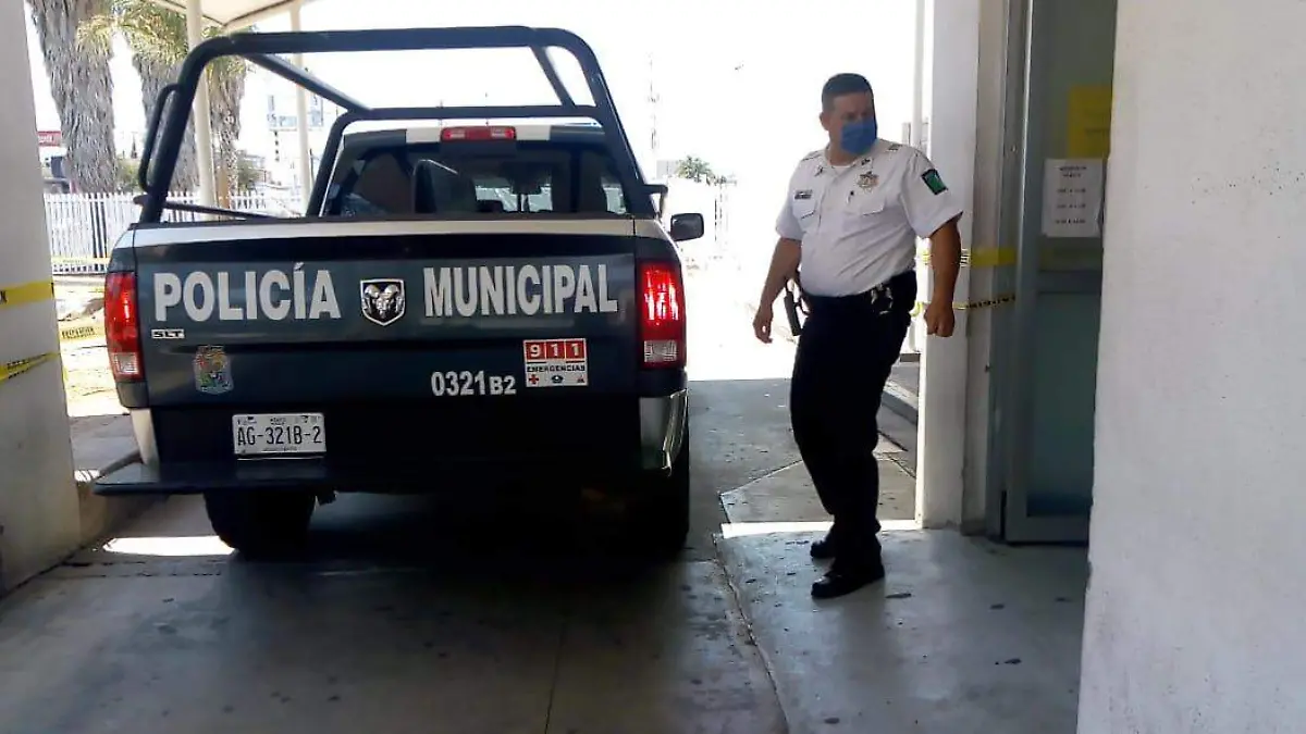 WhatsApp Image 2020-04-27 at 18.44.06