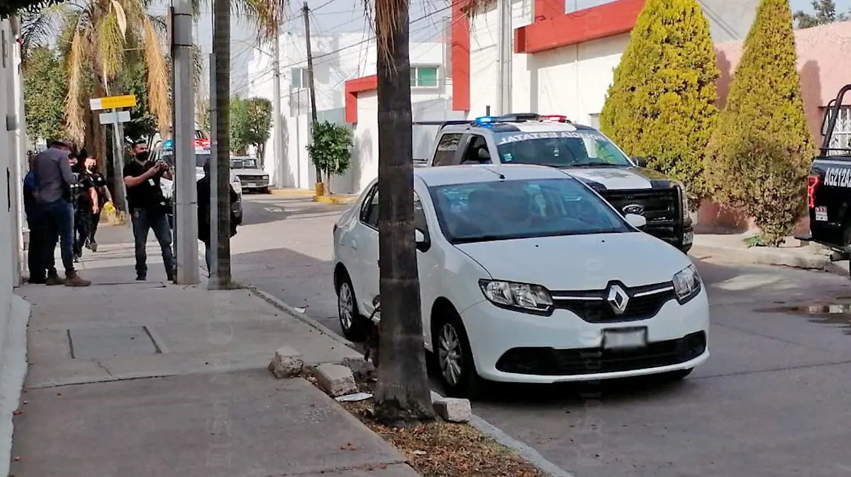 asalto JM 6