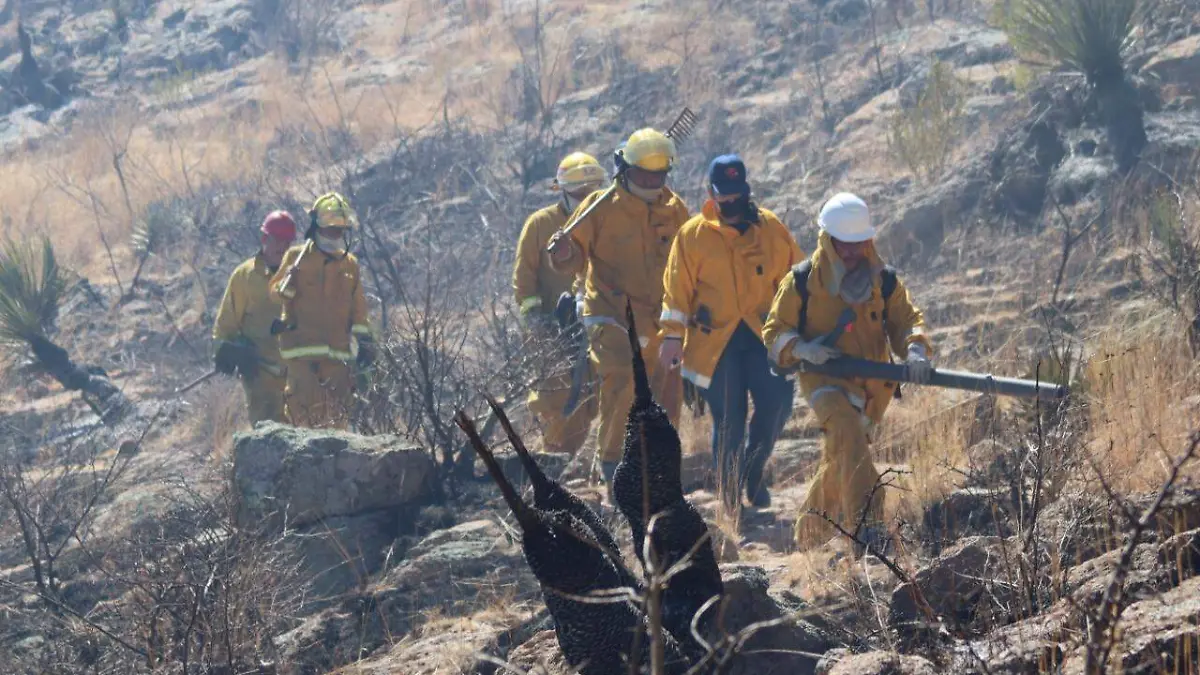 Incendio cerro Mesa de Pinos 6