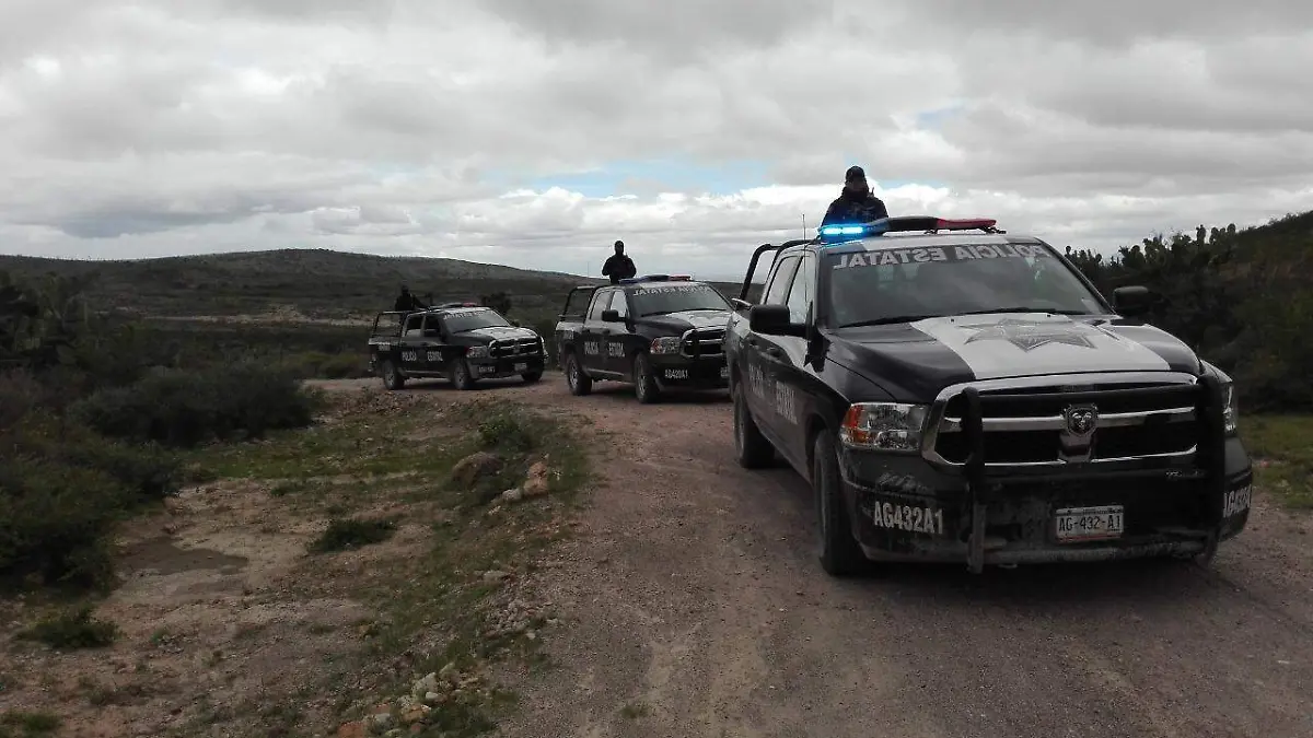 Policía Estatal 1