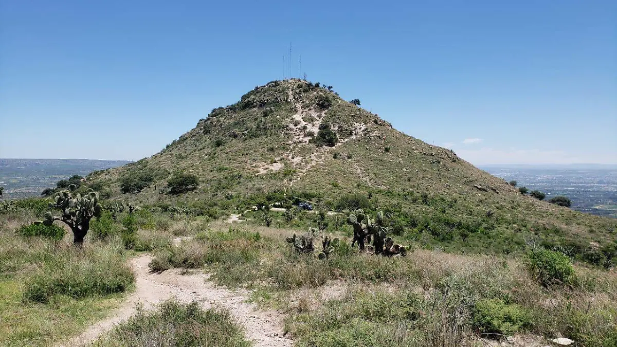 Cerro del picacho