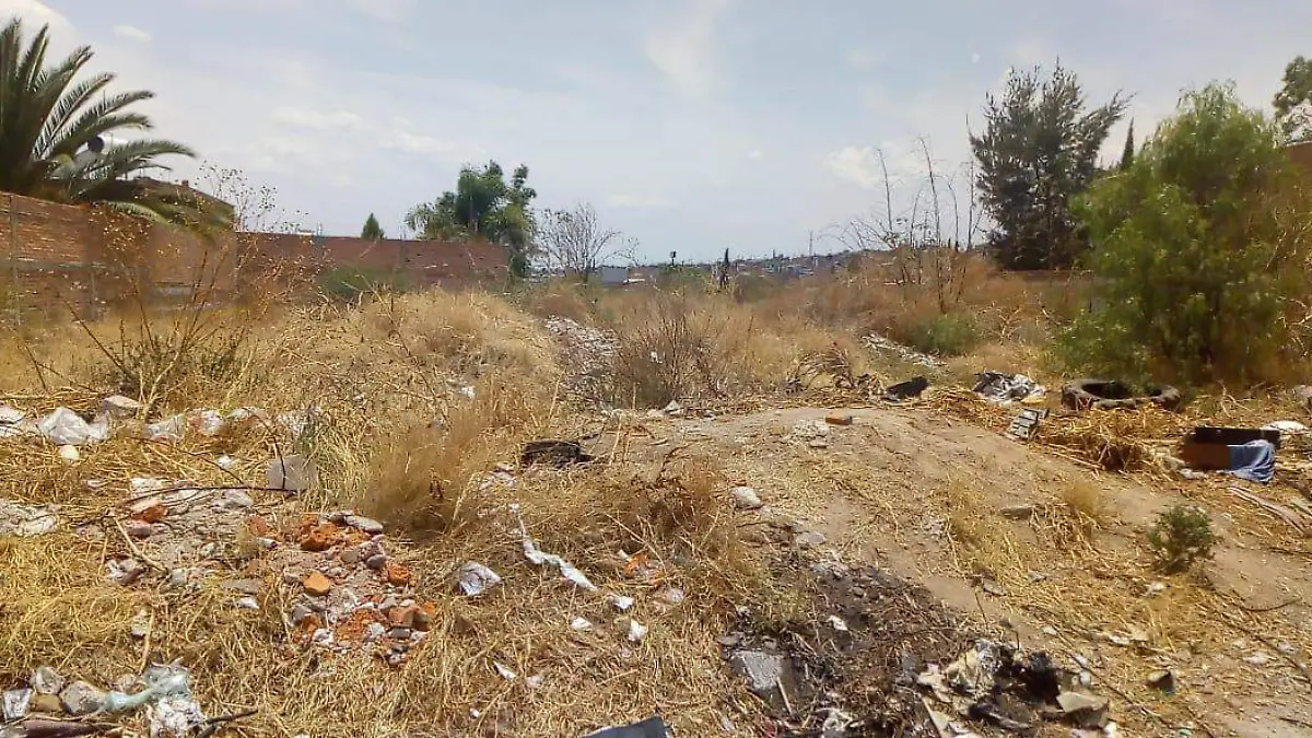 WhatsApp Image 2019-06-08 at 16.44.04