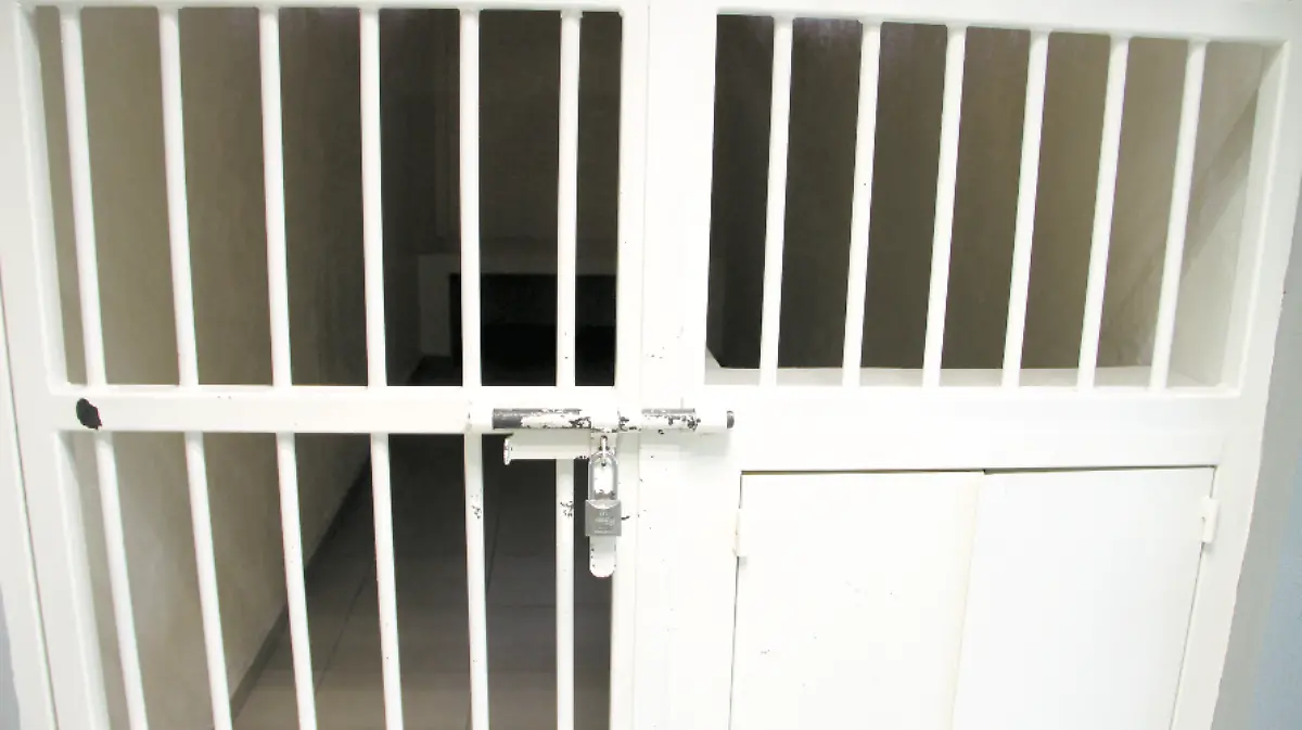 Captura de pantalla 2018-12-26 a la(s) 23.40.23