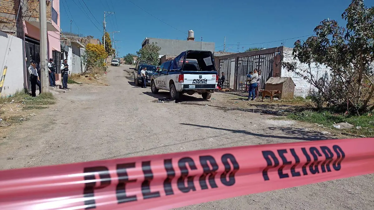 WhatsApp Image 2023-02-15 at 14.29.14