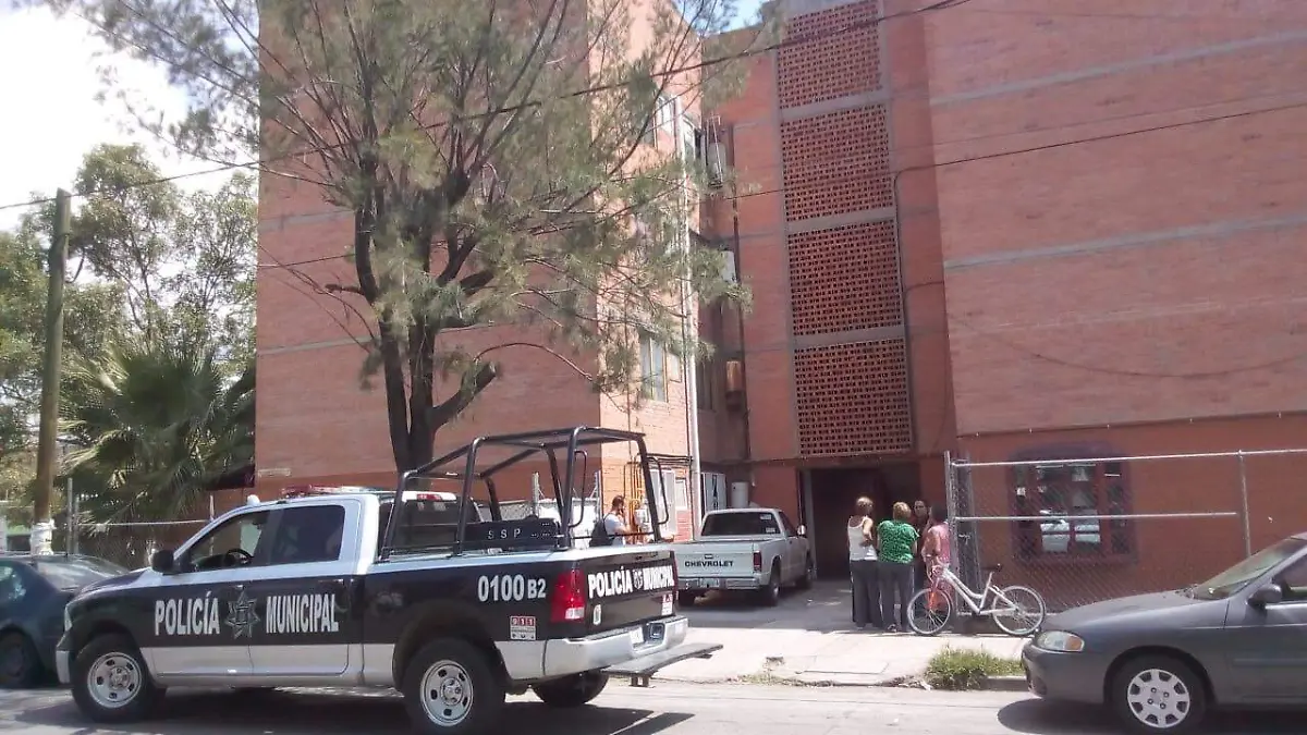 WhatsApp Image 2018-10-01 at 19.51.35