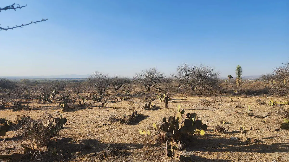 WhatsApp Image 2023-02-19 at 22.35.18