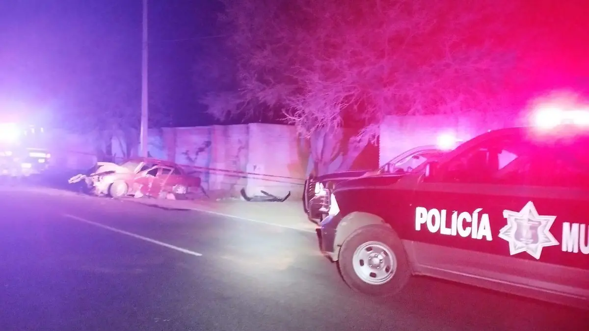 WhatsApp Image 2023-02-20 at 10.19.05