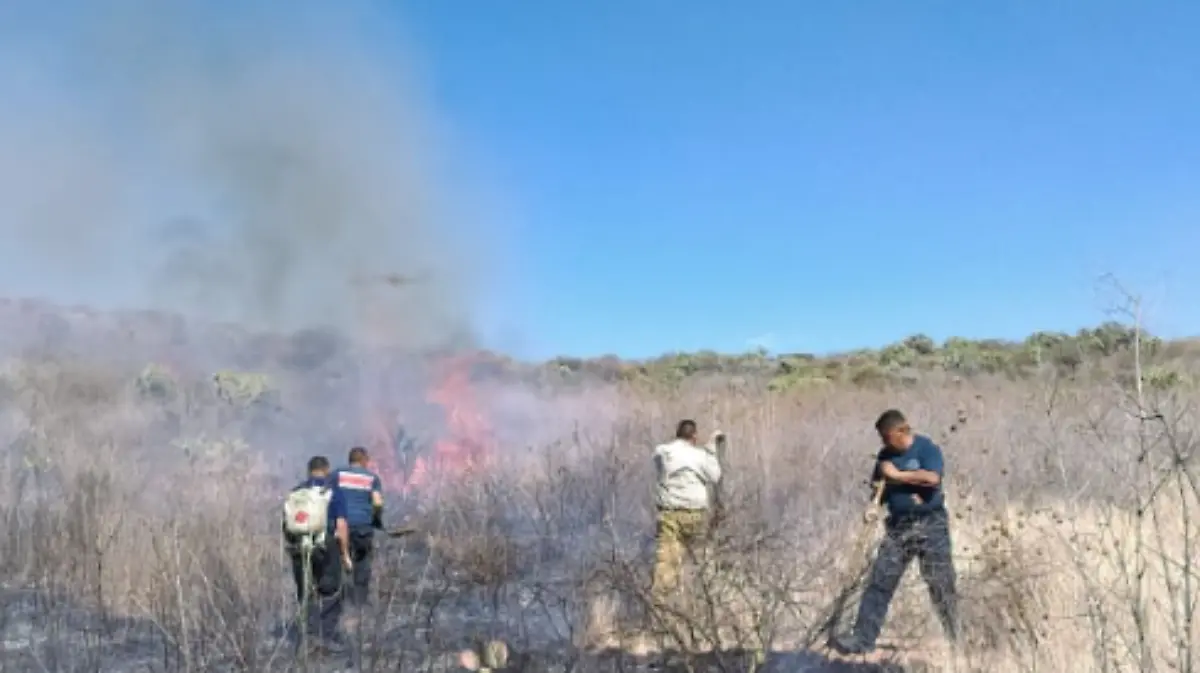 Captura de pantalla 2019-02-20 a la(s) 23.27.18