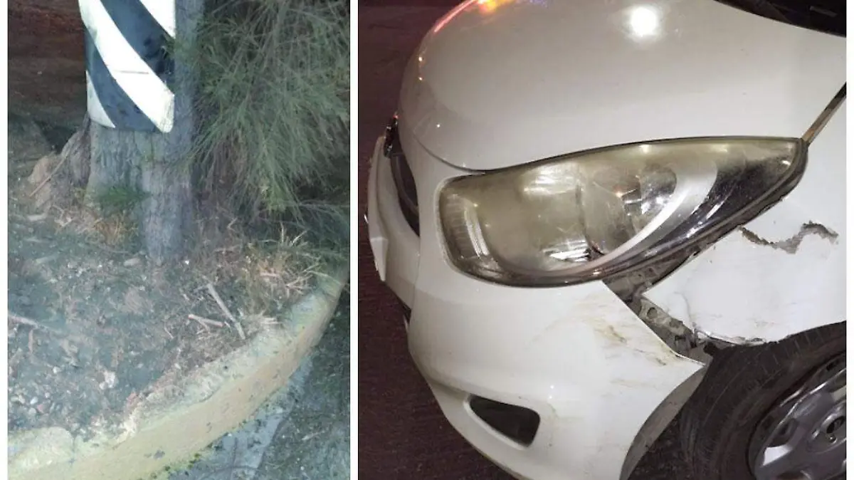 Auto chocado contra un árbol