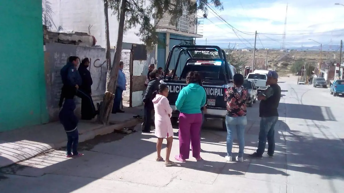 WhatsApp Image 2019-12-28 at 14.40.27