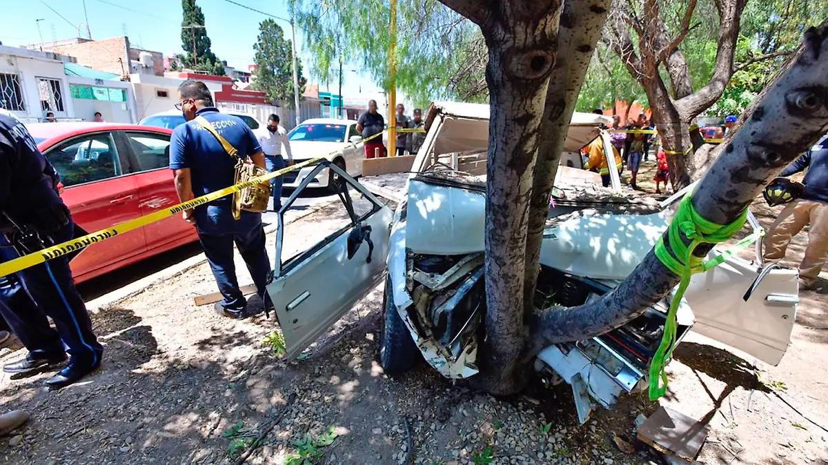 auto estrellado contra arbol