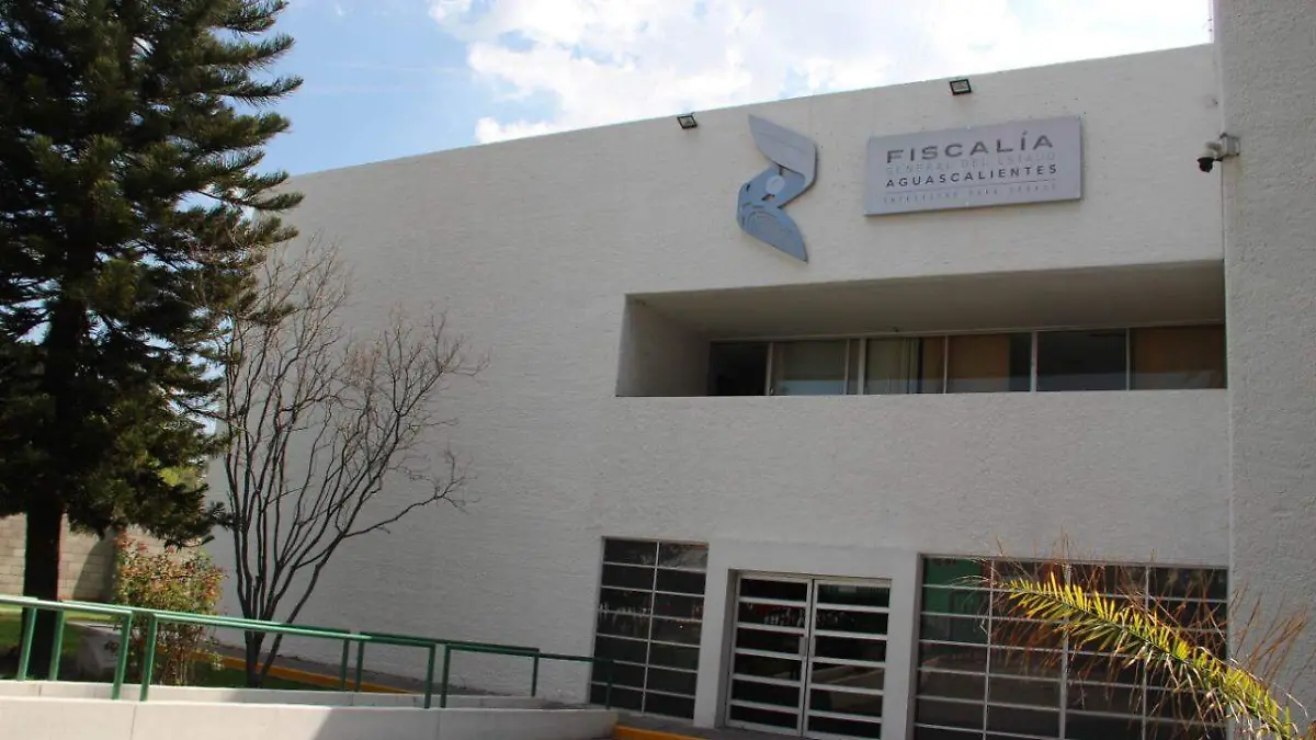 WhatsApp Image 2018-08-02 at 19.04.06