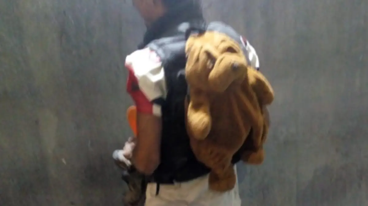 Captura de Pantalla 2019-07-13 a la(s) 15.31.12