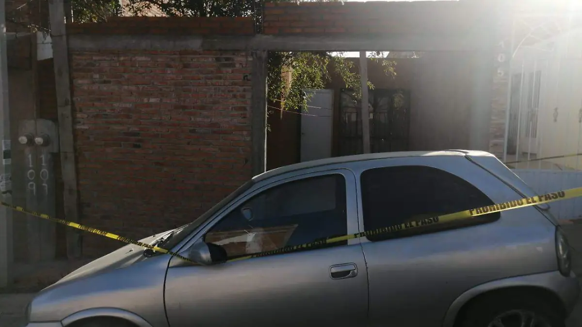 WhatsApp Image 2019-12-10 at 13.32.43