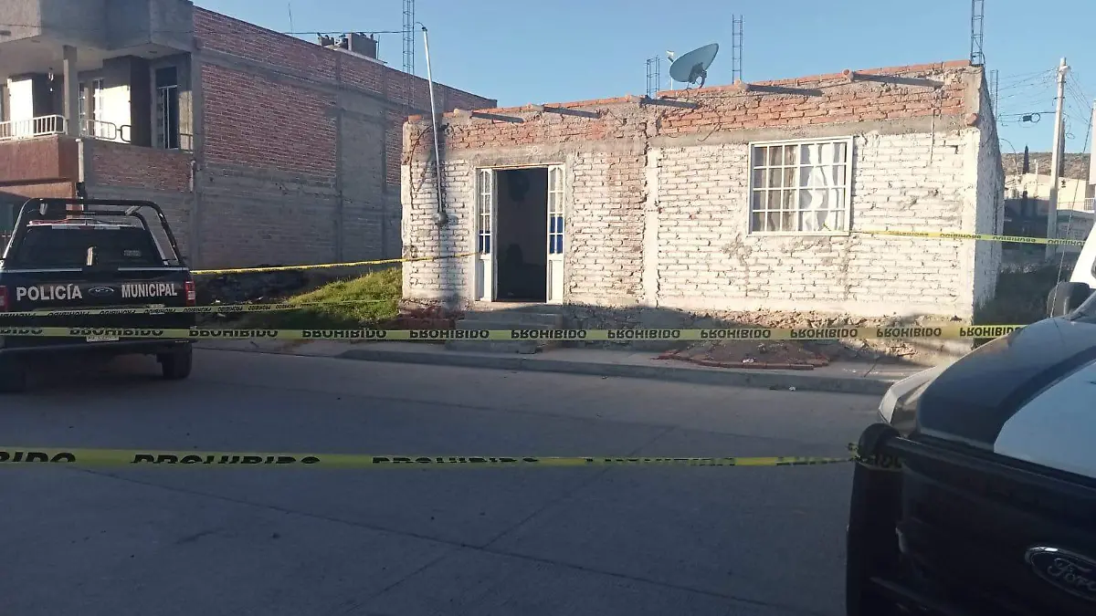 WhatsApp Image 2022-11-06 at 14.56.30