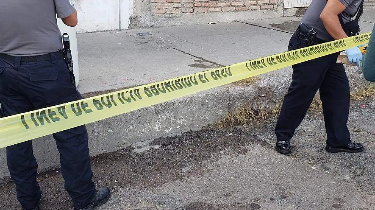 WhatsApp Image 2019-10-25 at 8.48.51 PM