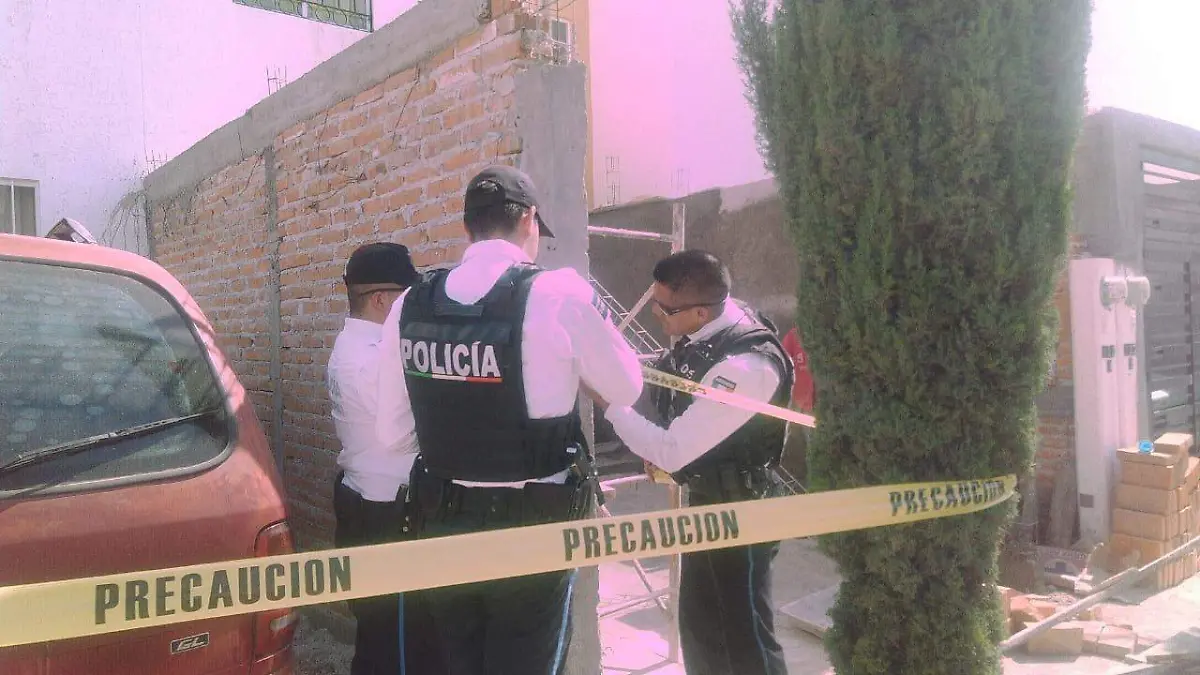 WhatsApp Image 2020-03-23 at 16.45.36