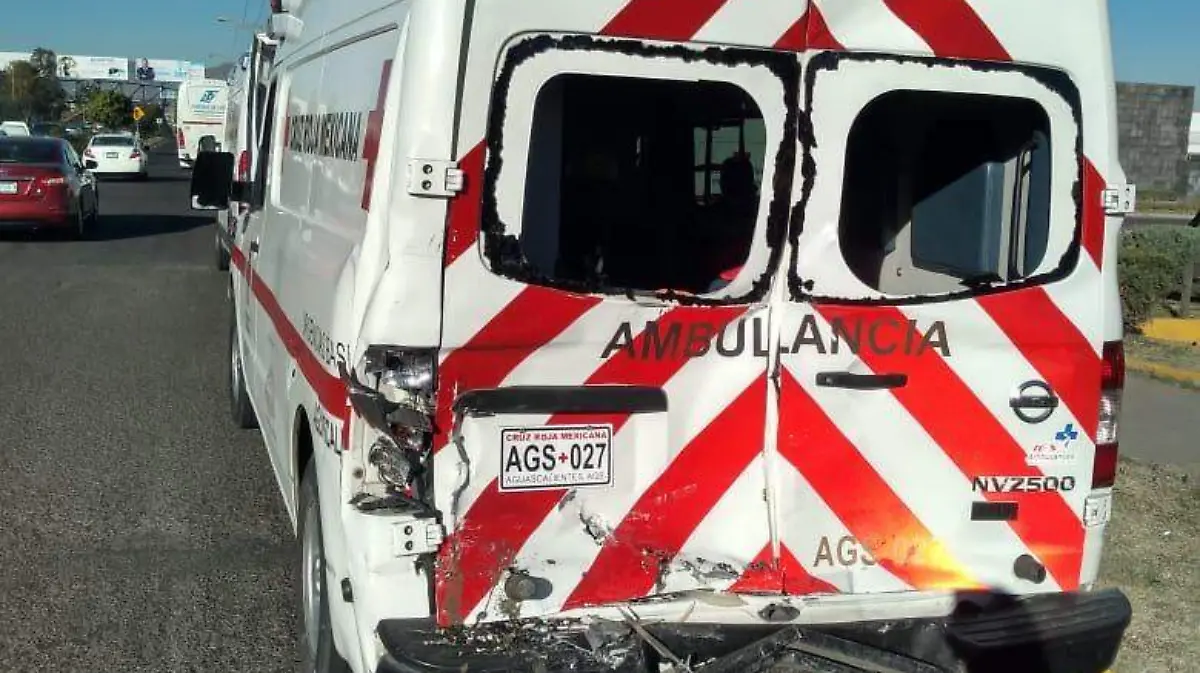 WhatsApp Image 2019-12-13 at 14.19.31 (1)