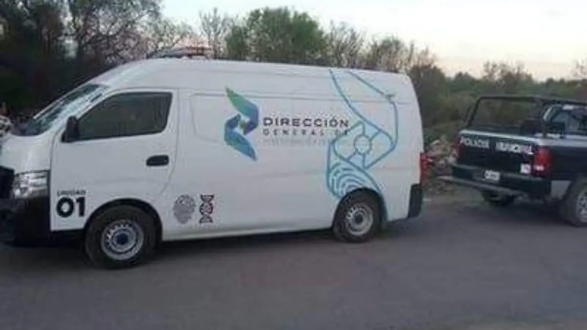 WhatsApp Image 2019-05-23 at 11.35.48