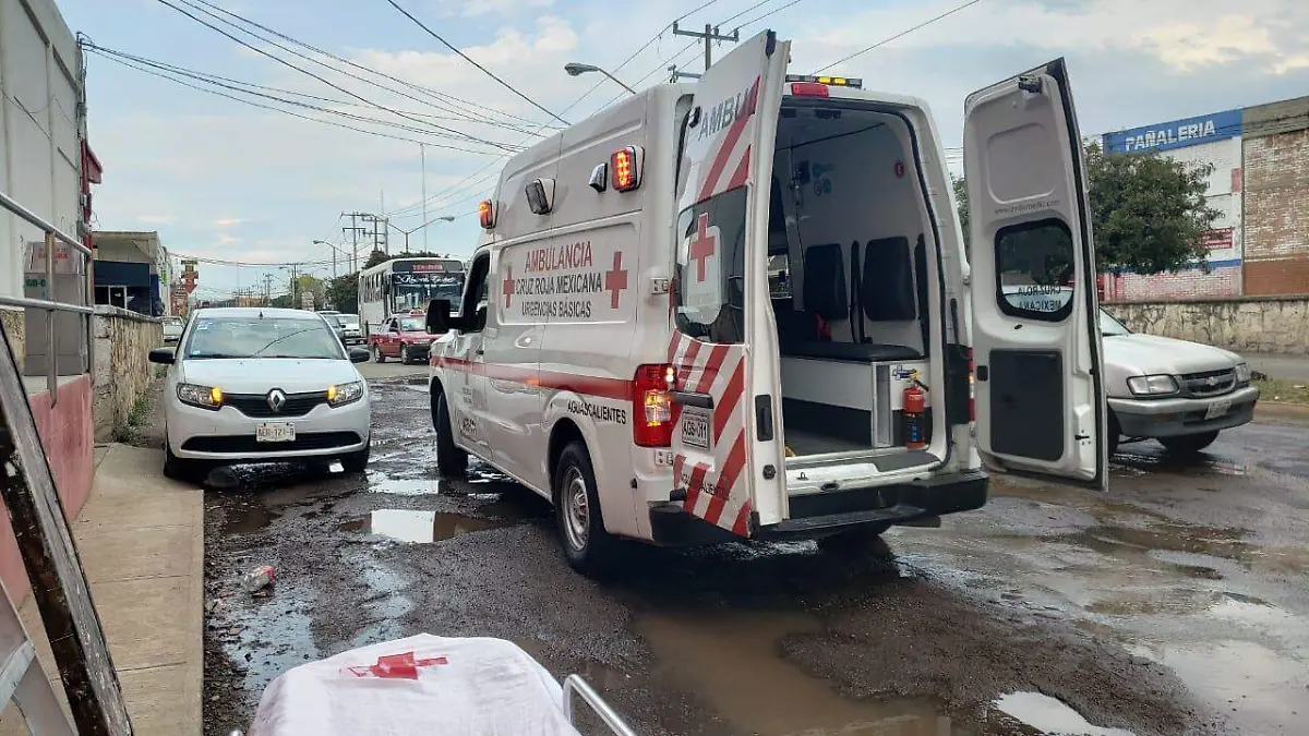 WhatsApp Image 2019-09-19 at 11.55.07 (1)