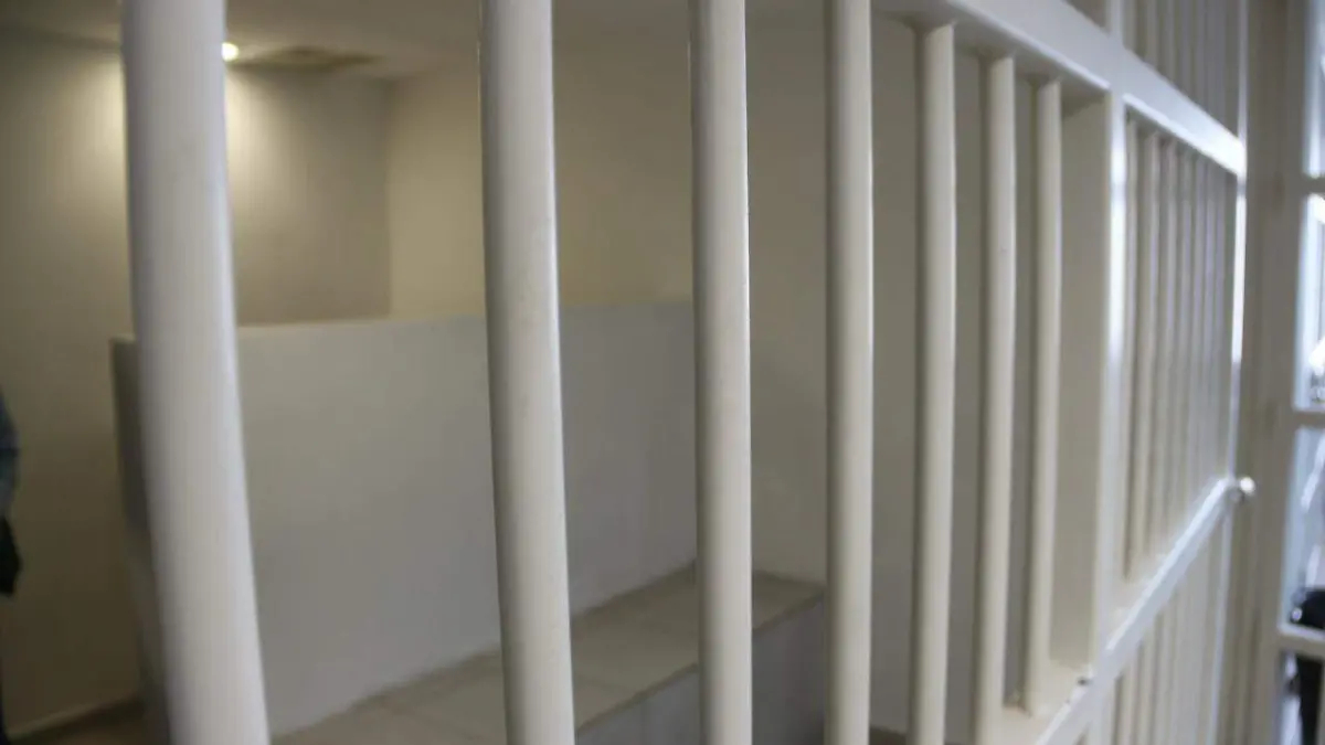 WhatsApp Image 2023-08-03 at 1.43.23 PM