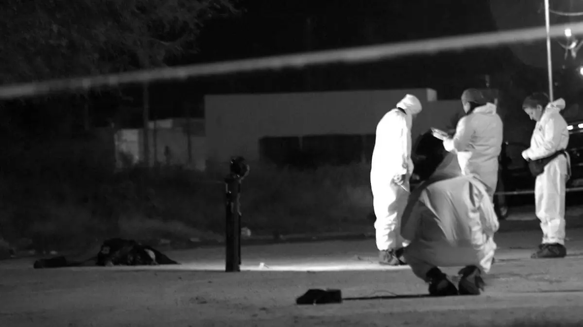 WhatsApp Image 2019-02-05 at 11.58.53