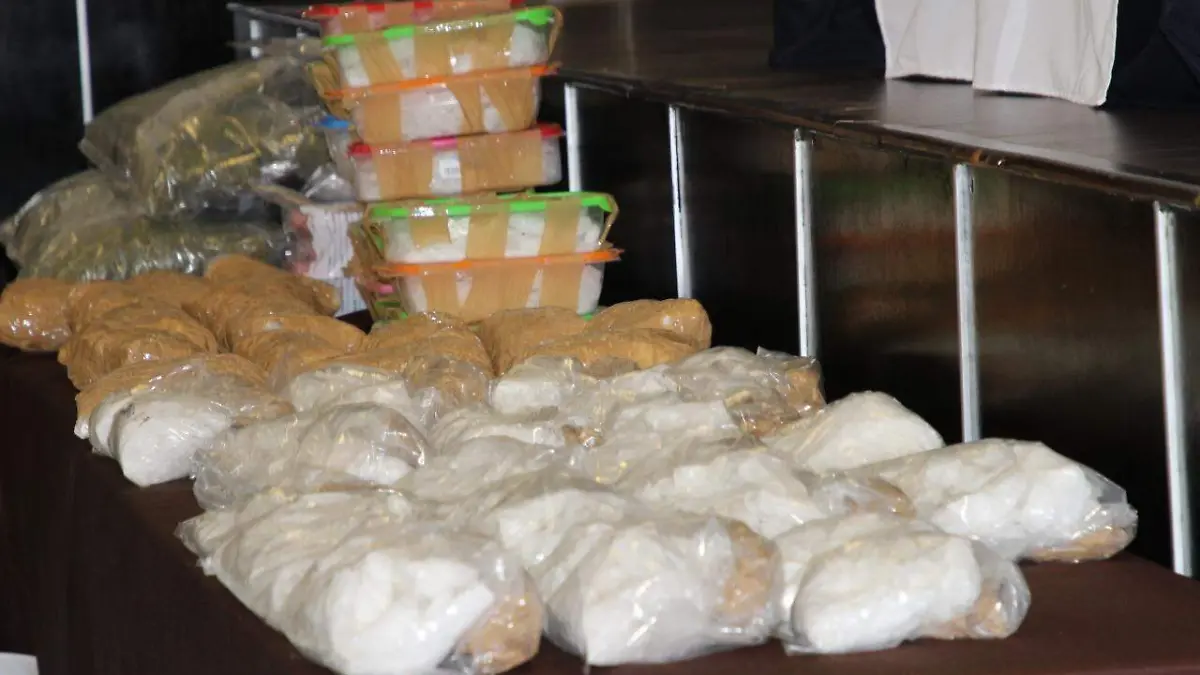 WhatsApp Image 2019-06-27 at 15.08.13