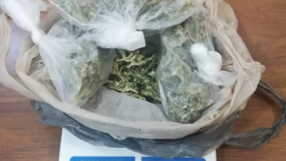 WhatsApp Image 2019-06-27 at 14.42.33 (1)