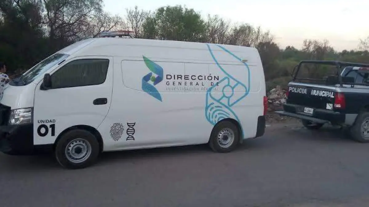 Periciales