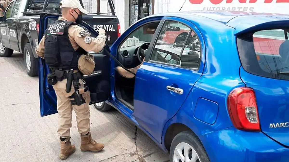 detenida presunta distribuidora